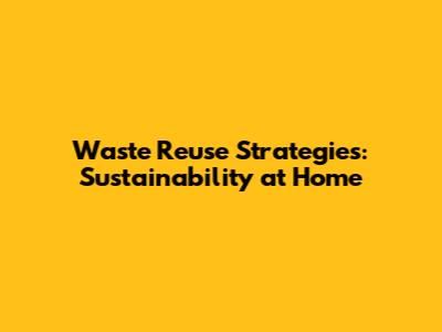 Waste Reuse Strategies: Sustainability at Home