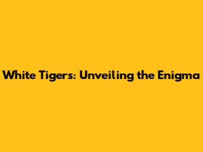 White Tigers: Unveiling the Enigma
