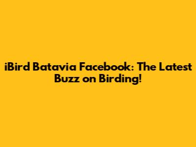 iBird Batavia Facebook: The Latest Buzz on Birding!